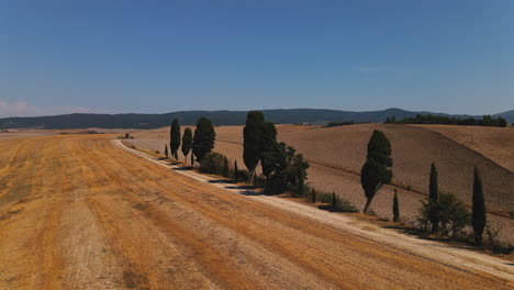 Overhead-view-of-wineyard-fields-with-cars-moving-on-road-in-speed-and-farmer-driving-tractor-in-farm-while-preparing-field-for-crops-and-farming-on-a-clear-sky-day-in-Tuscany,-Italy