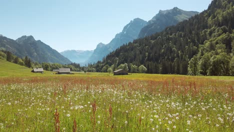 A-beautiful-mountain-valley-meadow-framed-by-the-Swiss-Alps-near-Pragel-Pass,-Switzerland