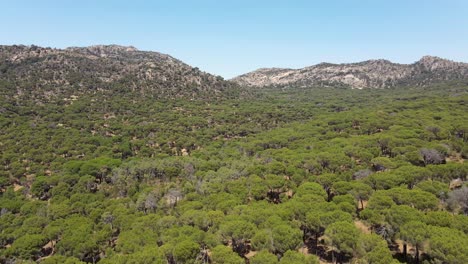 Drone-Aéreo-De-4k-Volando-Sobre-Un-Hermoso-Bosque-Verde-Entre-Montañas-En-Madrid,-España-En-Un-Día-Soleado