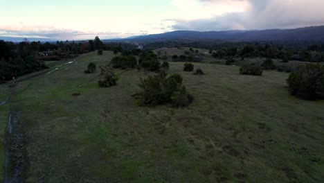 Die-Drohne-Umkreist-Während-Der-Goldenen-Stunde-Buschwerk-Und-Vegetation-In-Den-Hügeln-Nordkaliforniens