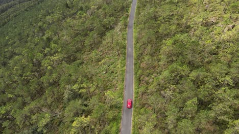 Luftverfolgung-Eines-Roten-Autos,-Das-Einen-Eukalyptuswald-In-Galizien-Durchquert