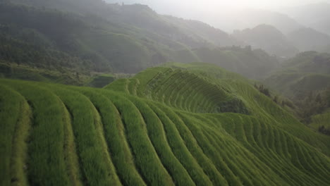 Luftbild-Von-Terrassierten-Reisfeldern-An-Einem-Nebligen-Tag-Im-Dorf-Dazhai,-Guangxi,-China---Drohnenaufnahme