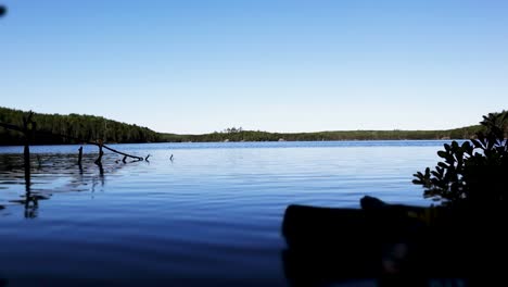 Increasingly-windy-backcountry-lake-time-lapse-in-the-Boreal-Shield-Northern-Ontario-Canada