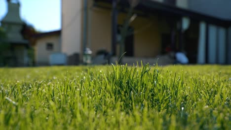 Close-up-view-of-a-small-hill-overgrown-with-freshly-cut-grass-in-the-garden-in-front-of-the-house-in-the-background-on-a-sunny-day