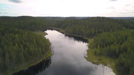 Flying-Over-Tranquil-Lake-With-Mirror-Reflection-Surrounded-By-Coniferous-Forest-In-Finland