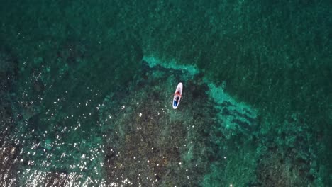 Paddle-Surf-Sobre-Arrecifes-De-Coral-Del-Océano-Caribeño-Azul-Claro-Toma-Aérea