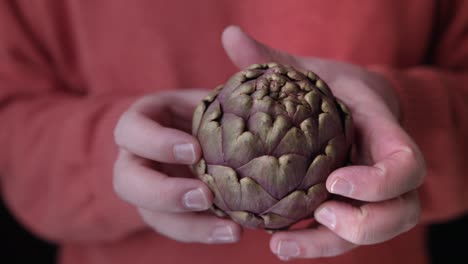 Close-up-shot-of-a-hands-of-a-man-inspecting-an-Artichoke-flower-edible-buds-isolated-on-red-background