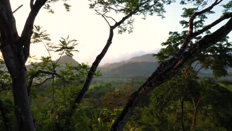 Jungle-Mountain-Sunrise-Aerial-Shot-Through-Trees