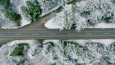 Following-a-red-truck-by-a-drone-as-top-down-view-from-above,-driving-through-a-snow-covered-wintry-street-leading-through-a-conifer-forest