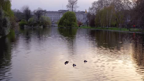 Palacio-De-Buckingham-Desde-El-Lago-Del-Parque-De-San-James-Con-Bandera-A-Media-Asta-Por-La-Muerte-Del-Príncipe-Felipe,-Duque-De-Edimburgo,-Sábado-10-De-Abril-De-2021---Londres,-Reino-Unido