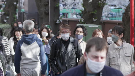 People-Wearing-Facemask-Admiring-The-Blooming-Sakura-Trees-During-COVID-19-Pandemic