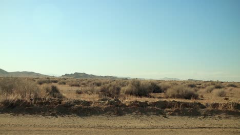 Driving-slowly-down-a-dirt-road-in-the-middle-of-the-desert-with-mountains-in-the-distance-and-dry-shrubs-passing-by