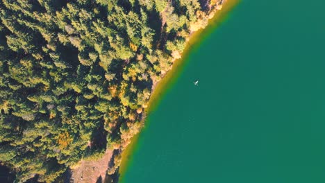 Vista-De-Arriba-Hacia-Abajo-Del-Agua-Turquesa-Con-Kayak-En-El-Lago-Saint-Ann-En-Rumania---Toma-Aérea-De-Drones