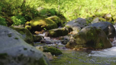 Rocks-in-beautiful-mountain-stream-of-Mt-Daisen,-Tottori-Japan