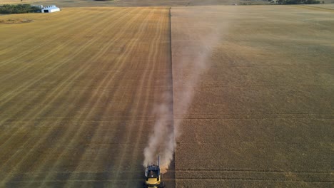 Aerial-drone-view-from-above-of-a-modern-combine-harvester-reaping-wheats-at-sunset-in-Alberta,-Canada
