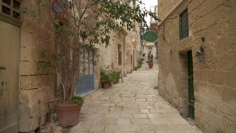 Narrow-Alley-Stone-Street-with-Big-Beautiful-Plant-and-Traffic-Signs-in-Birgu