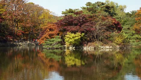 Standing-water-with-autumn-foliage-reflected-in-Chundangji-pond-with-Korean-people-sightseeing,-Changgyeonggung-Palace,-Seoul-South-Korea