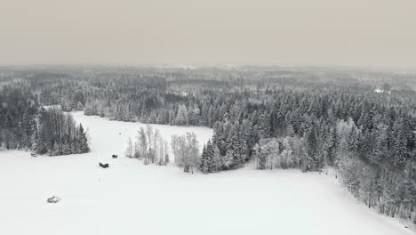 Aerial-drone-flight-over-snowy-fields-and-snow-covered-forest-trees-during-foggy-sky---Dramatic-winter-scene-with-helicopter-view