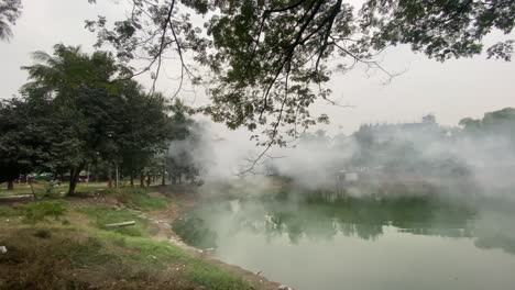 Steam-rises-off-of-water,-green-trees,-warm-jungle