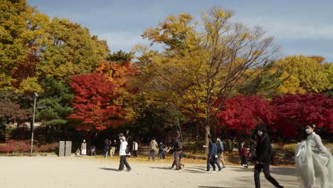 Familien,-Fotografen,-Menschen-In-Koreanischen-Hanbok-kleidern,-Die-Im-Herbstlichen-Changgyeonggung-palastgarten-Spazieren-Gehen
