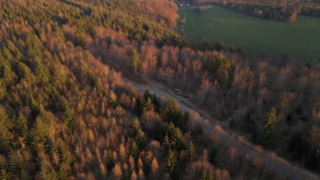 Drohne-Nähert-Sich-Einer-Schmalen-Waldstraße-In-Deutschland,-Wenn-Ein-Auto-Mit-Anhänger-Vorbeifährt