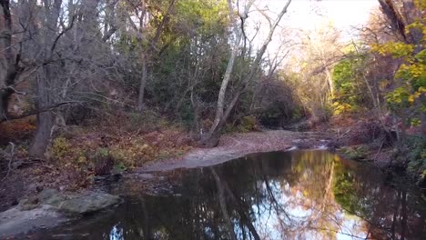 Drone-shot-of-creek-in-woods