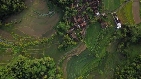 rural-view-of-forest,-plantation,-village-and-ricefield-in-Magelang,-Indonesia