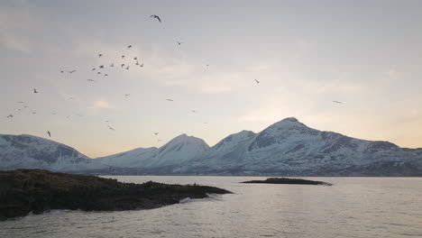 Ein-Atemberaubender-Langsamer-Schwenk,-Der-Sich-Auf-Vögel-Konzentriert,-Die-Während-Der-Goldenen-Stunde-über-Eine-Norwegische-Küste-Fliegen