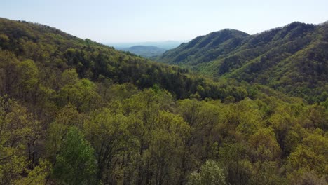 Blue-Ridge-Mountains-Im-Frühjahr-In-Der-Nähe-Von-Asheville