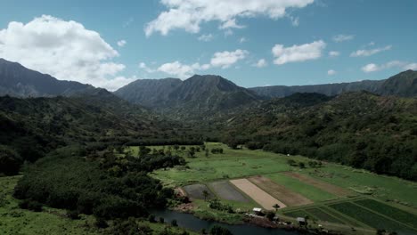 Taro-root-plantations,-beautiful-panorama-of-mountains-on-the-North-Shore-of-Kauai,-aerial