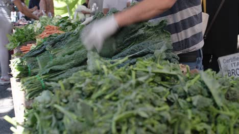 Close-up-restocking-vegetables-at-local-farmer-street-market