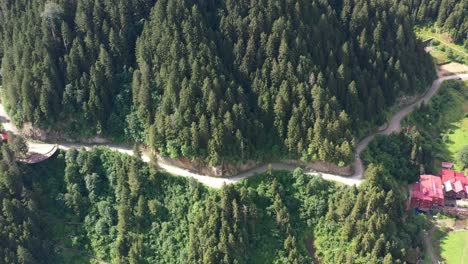 aerial-view-of-a-road-carved-into-a-mountain-in-Uzungol-Trabzon-on-a-sunny-summer-day-with-a-beautiful-pine-tree-forest-located-in-Turkey