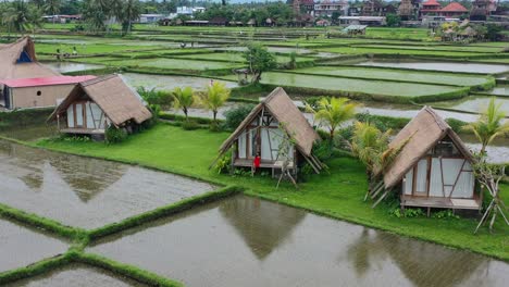 young-asian-girl-sitting-on-balcony-of-rice-field-hut-villa-in-Ubud-Bali-on-cloudy-day,-aerial