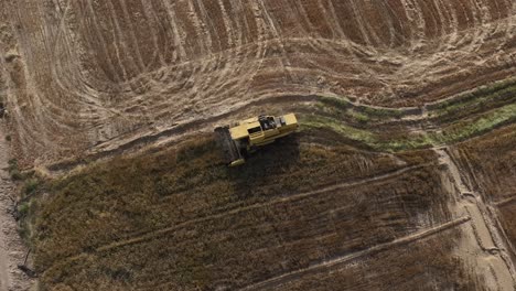 Overhead-Aerial-View-Of-Yellow-Combine-Harvester-Working-In-Punjab-Field-In-Pakistan