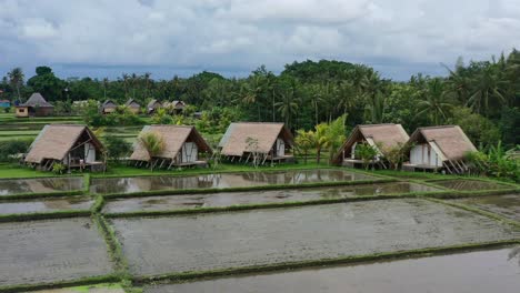 Alojamiento-Local-Con-Vistas-A-Los-Campos-De-Arroz-Inundados-En-Una-Mañana-Nublada-En-Ubud-Bali,-Antena