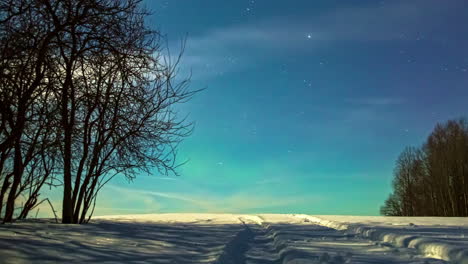 The-Northern-lights-or-aurora-borealis-dancing-just-above-the-horizon-on-a-starry-night-with-the-moon-setting-in-a-winter-wonderland---time-lapse