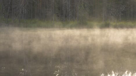 Niebla-Matutina-Moviéndose-Lentamente-Sobre-El-Lago-En-El-Desierto-De-Finlandia