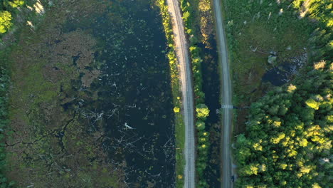 Aerial-drone-shot-straight-down-over-a-pair-of-railroad-train-tracks-winding-through-the-thick-green-woods-of-the-Maine-wilderness