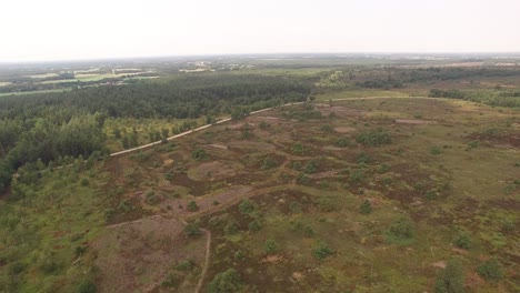 A-car-being-tracked-running-along-the-forest-road-way-heading-toward-right-hand-side-of-frame