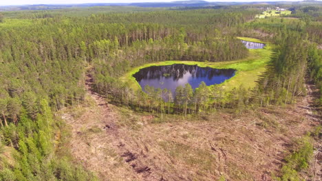 Aerial-footage-of-two-beautiful-forest-ponds-middle-of-the-logging-area