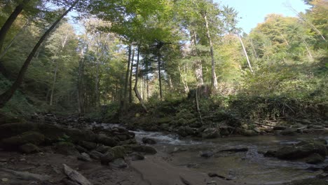 Small-drone-flying-over-a-creek-in-the-woods