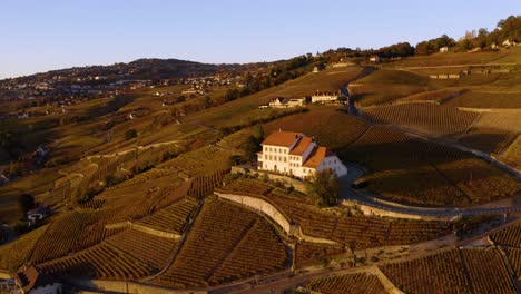 Aerial-orbit-around-typical-vineyard-house-in-Lavaux-vineyard-,-Switzerland