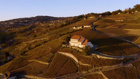 Luftbahn-Um-Typisches-Weinberghaus-Im-Lavaux-Weinberg,-Die-Schweiz