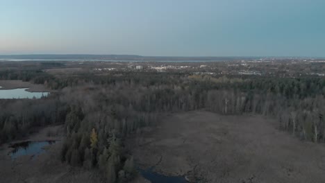 Flying-over-a-swampy-area-at-dusk-just-outside-of-ottawa,-Ontario-with-a-blue-city-skyline-in-the-distance