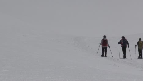 Menschen,-Die-In-Einem-Schneeberg-Spazieren-Gehen