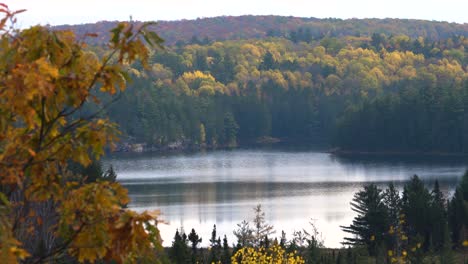 Typische-Kanadische-Herbstlandschaft-Mit-Bunten-Herbstwaldbäumen-Und-See-Im-Herbst,-Algonquin-Park,-Kanada