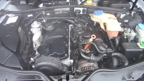 Car-engine-bay-washed-under-the-pressure