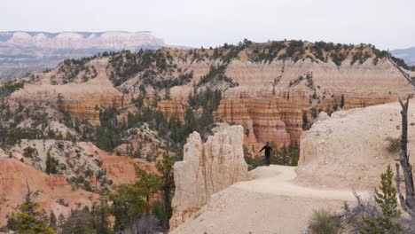 Mujer-Emocionada-En-El-Camino-Levantando-Los-Brazos-En-El-Parque-Nacional-Bryce-Canyon-En-Utah,-Estados-Unidos
