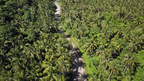 Aerial-static-shot-of-curvy-palm-tree-lined-road-with-scooter-driving-away-on-Siargao,-the-Philippines