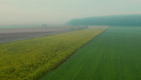 Descending-aerial-shot-of-misty-farmland-on-an-autumn-morning
